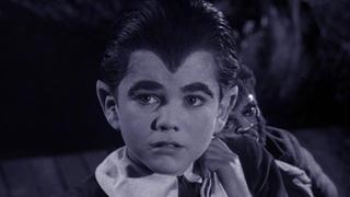 Herman's Child Psychology