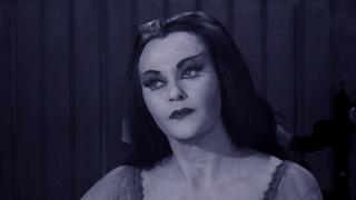 The Musician The Musician