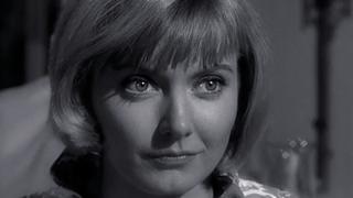 The Golden Frog The Golden Frog