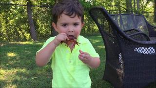 America's Funniest Home Videos