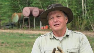 Don't Mess With Mama Don't Mess With Mama