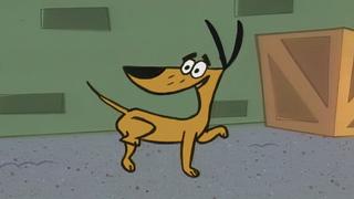 Love Doctors; Voodoo Goat; Cat!