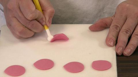 Industrial Casters; Wedding Cakes; Terahertz Spectrometers