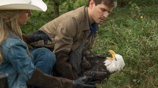 Heartland