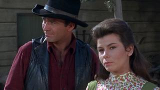 The Inchworm's Got No Wings at All