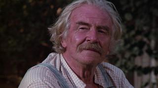 The Visitor The Visitor