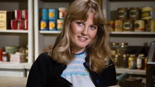 The Fastidious Wife The Fastidious Wife