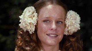 The Firestorm The Firestorm