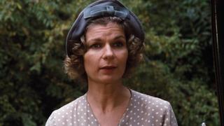 The Celebration The Celebration