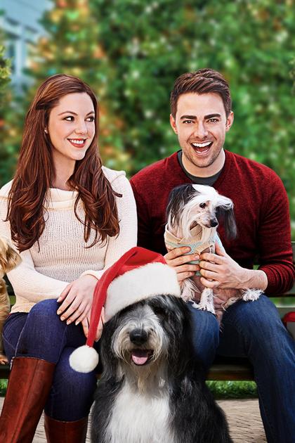 A Dogwalker's Christmas Tale