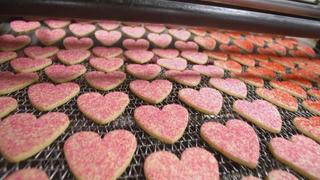 Love Is in the Air Love Is in the Air