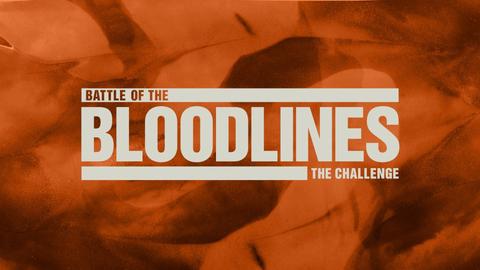 The Challenge: Battle of the Bloodlines