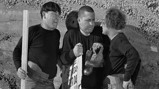 The Three Stooges