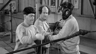 The Three Stooges