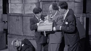 The Three Stooges