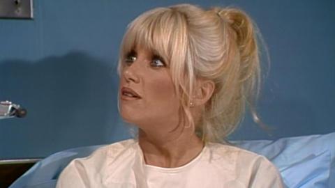 Chrissy's Hospitality