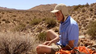 Under the Desert Sun