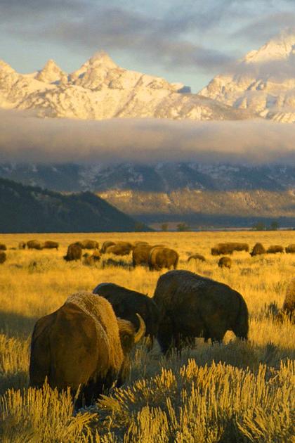 America's National Parks