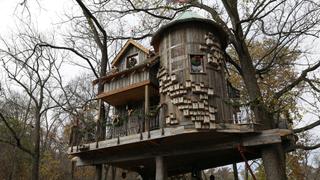 Treehouse Masters
