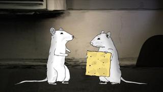 Rats. Rats.