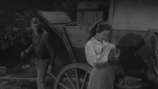 The Sally Potter Story The Sally Potter Story