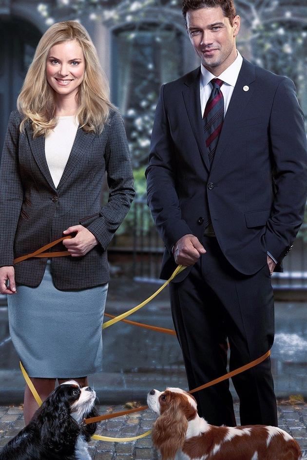 Unleashing Mr. Darcy