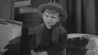 Wagon Train