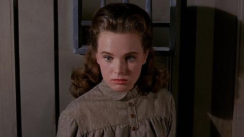 The Cassie Vance Story