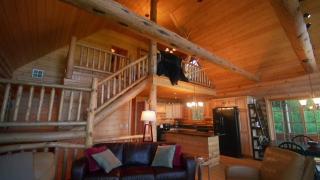 Log Cabin Living