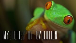 Mysteries of Evolution