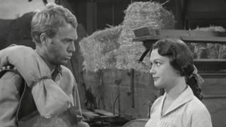 Wanted: Dead or Alive