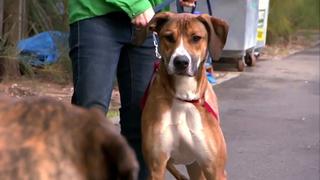 The Lamb Family The Lamb Family