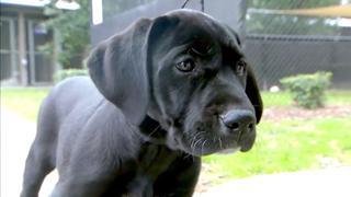 The Beaumont Family The Beaumont Family