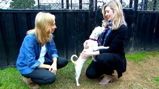 The Chambers Family The Chambers Family