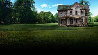 Back to the Flip: Preservation Resurrection Back to the Flip: Preservation Resurrection