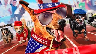 Wiener Dog Internationals