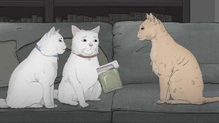Cats. Cats.