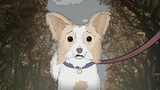 Dogs. Dogs.