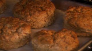 Biscuit Lovin' Biscuit Lovin'