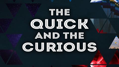 The Quick and the Curious