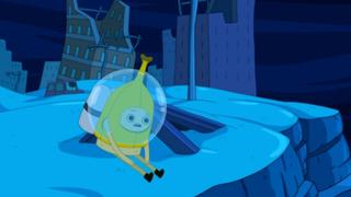 President Porpoise Is Missing