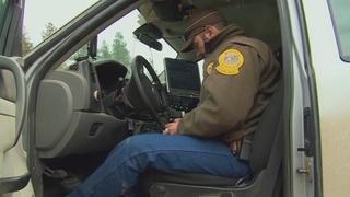 Crying Shame Crying Shame