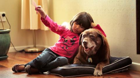 Dirt is Good, Dirt Poor Is Bad