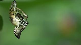 Masters of Defense Masters of Defense