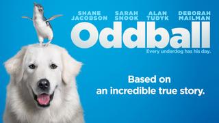  watch Oddball