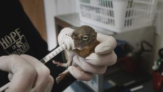 Any Mom Will Do Any Mom Will Do