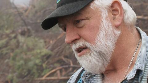 Take This Log and Shove It