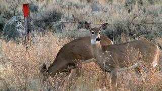 Death Valley Death Valley