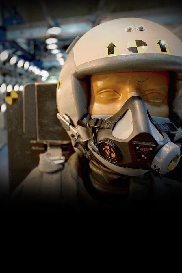 Survival in the Skies