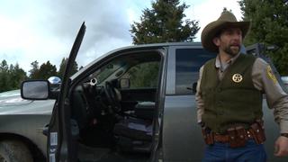 Careless Endeavors Careless Endeavors